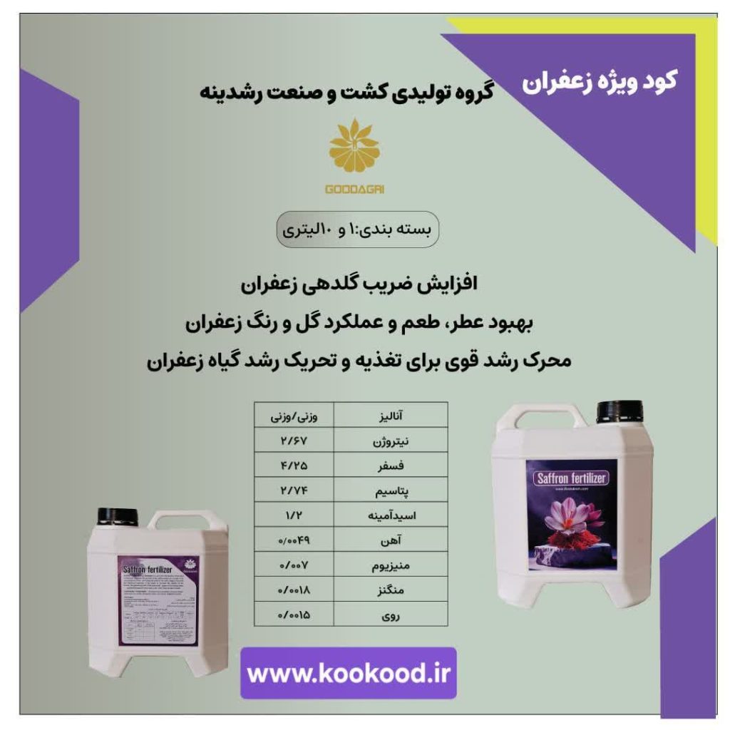 کاشت زعفران مدرن 1 photo ۲۰۲۵ ۱۰ ۱۳ ۰۹ ۰۰ ۵۲