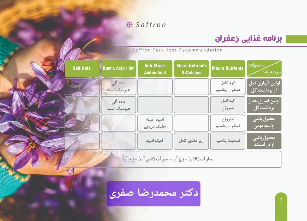 برنامه غذایی زعفران