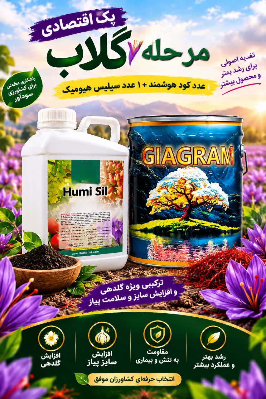 پک اقتصادی مرحله گلاب زعفران